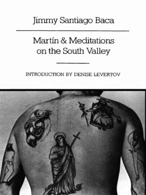 cover image of Martín and Meditations on the South Valley